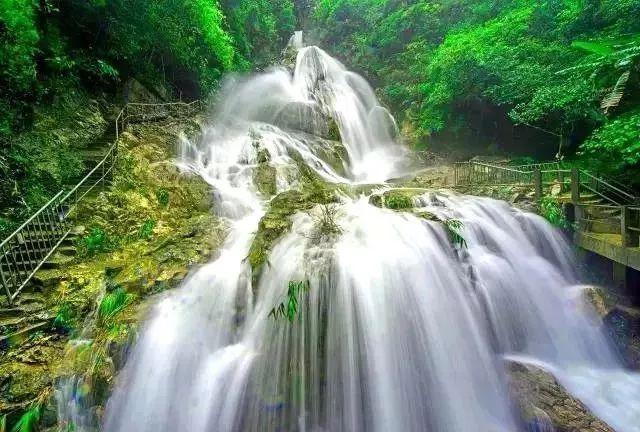 雨后盛放